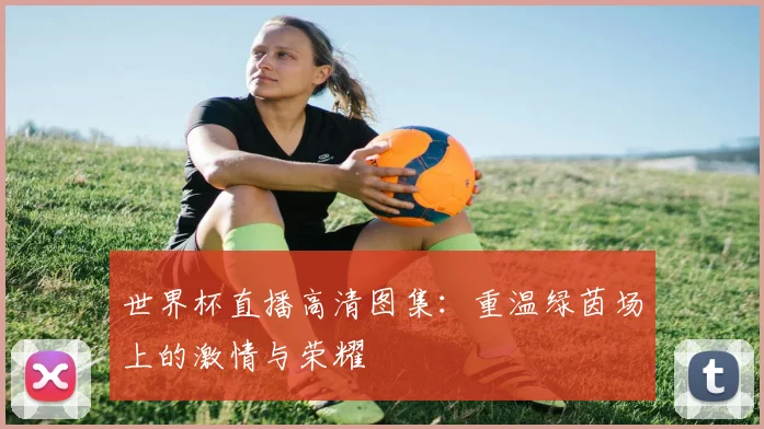 世界杯直播高清图集：重温绿茵场上的激情与荣耀